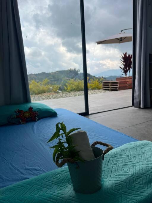 Villa Amore * El Penol (Antioquia)