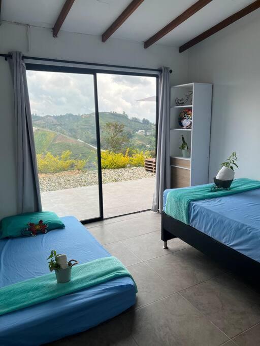 Villa Villa Amore *